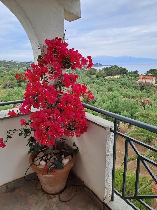 Villa Mariana Koróni Kültér fotó