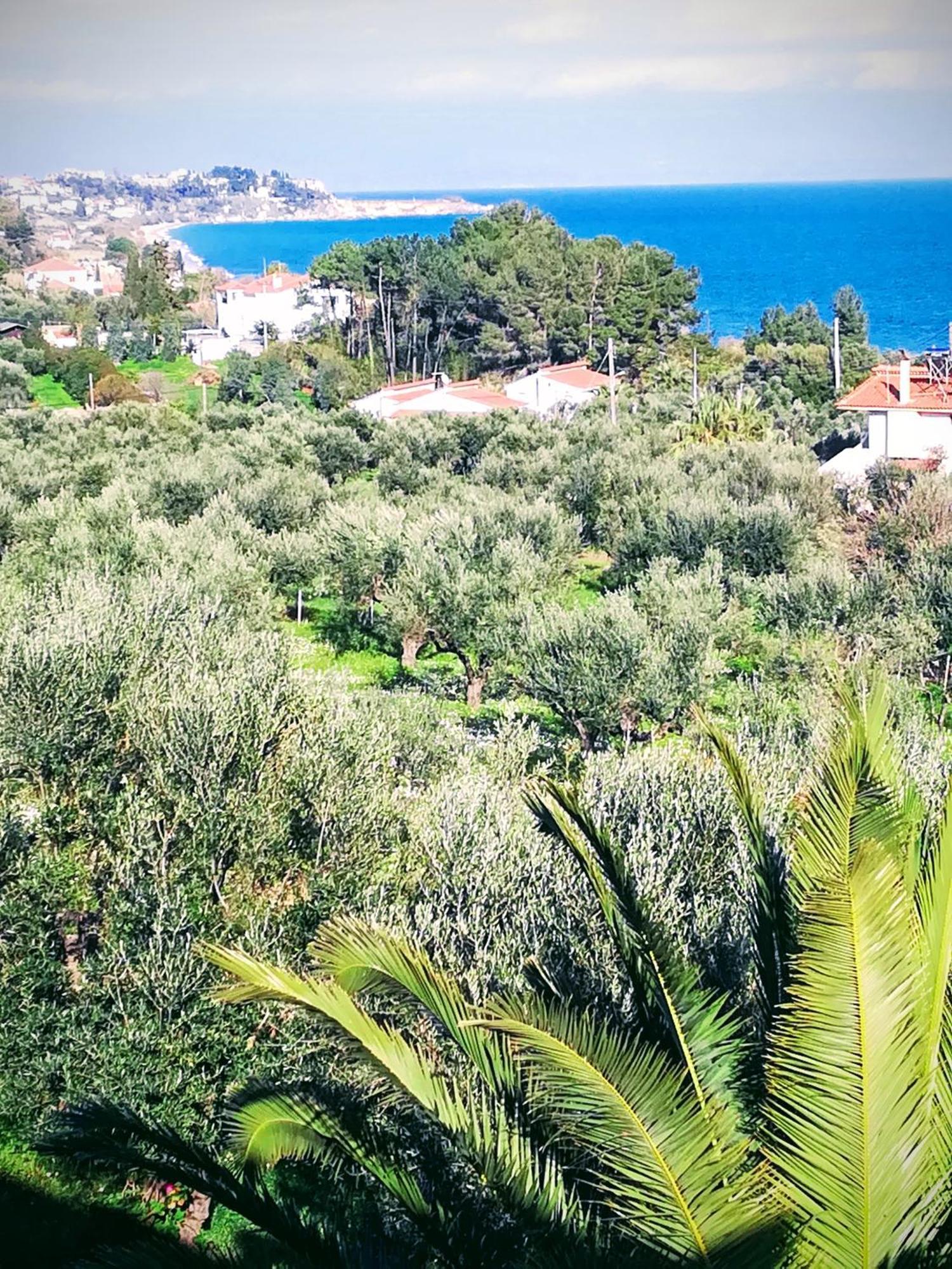 Villa Mariana Koróni Kültér fotó